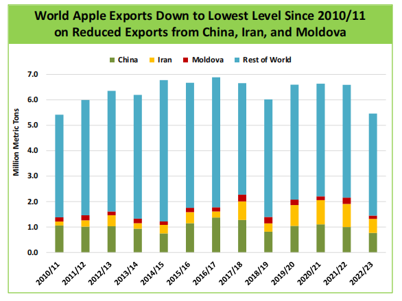 world_appale_pear_and_grapes_02.png